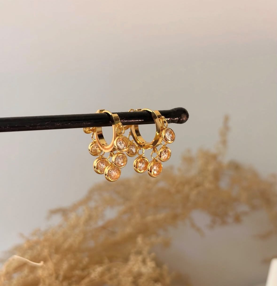Charm Earrings
