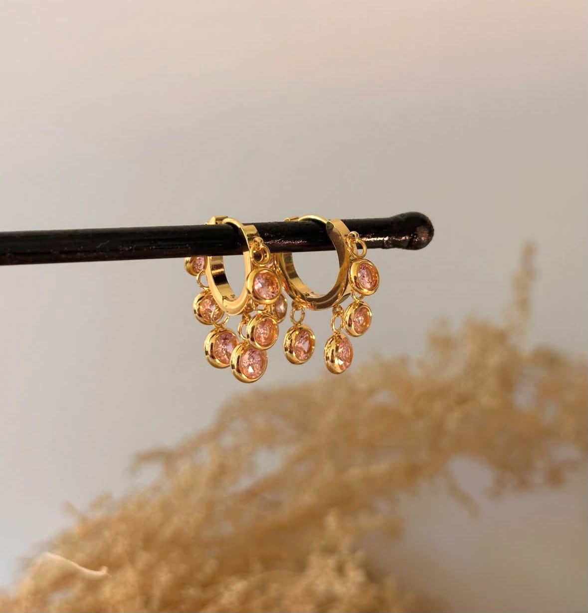 Charm Earrings